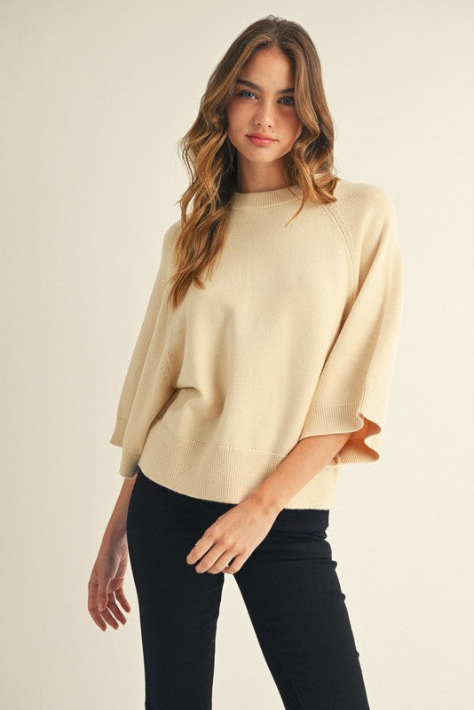 Cozy Horizons Wide Sleeve Sweater